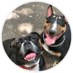 Du hast Fragen? Wir helfen dir gerne