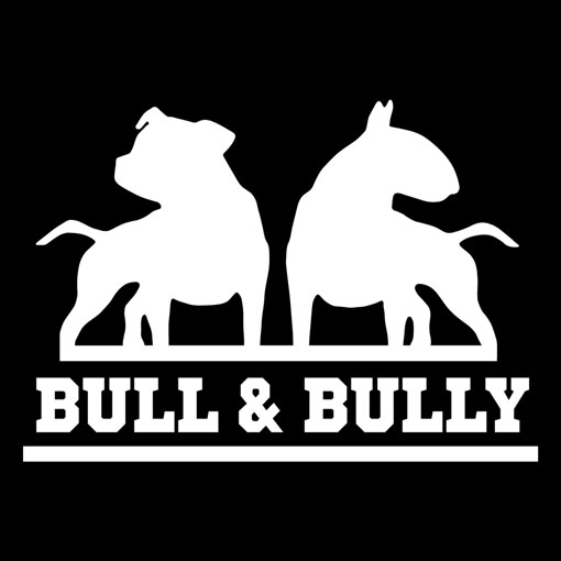 Heckscheibenaufkleber Bild