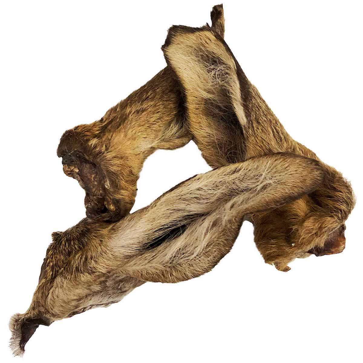 Hirschohren mit Fell Bild